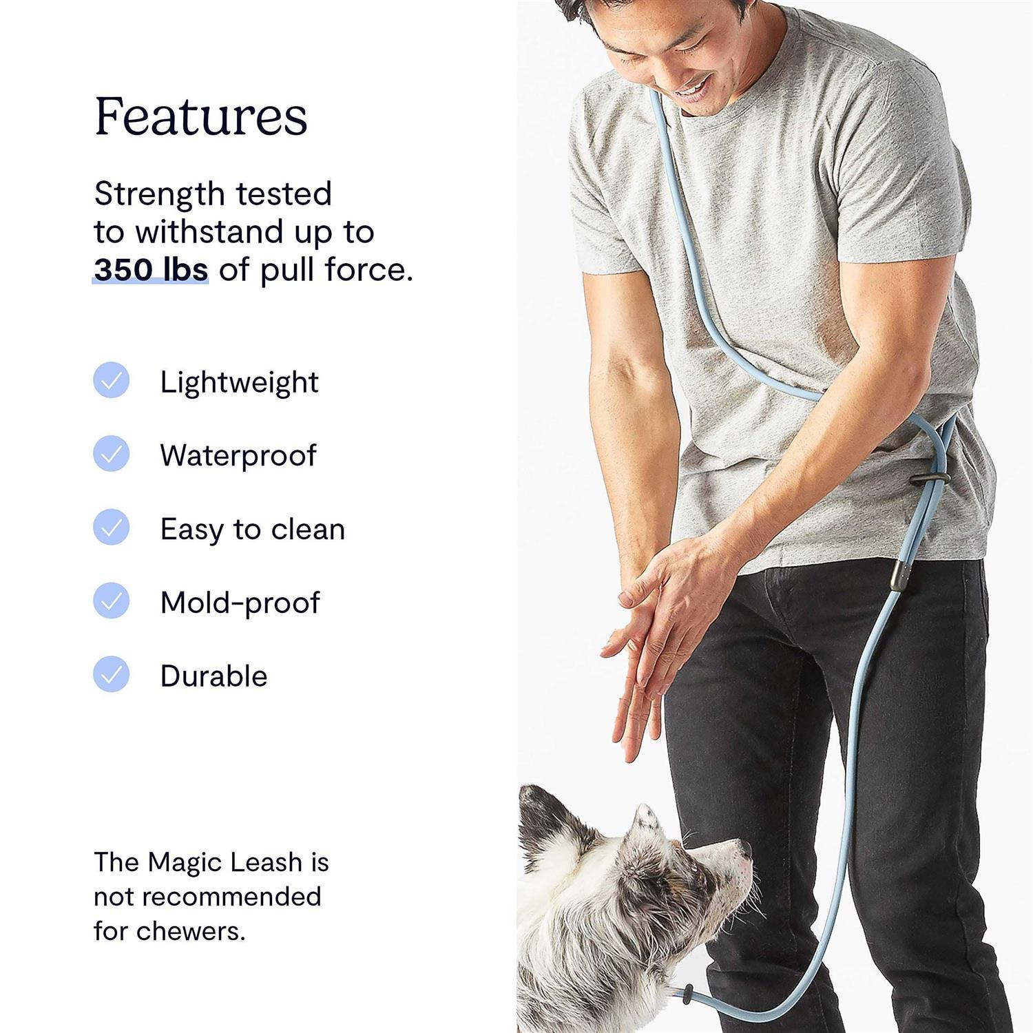 Fable Pets Magic Link Hands-Free Dog Leash - Healthber