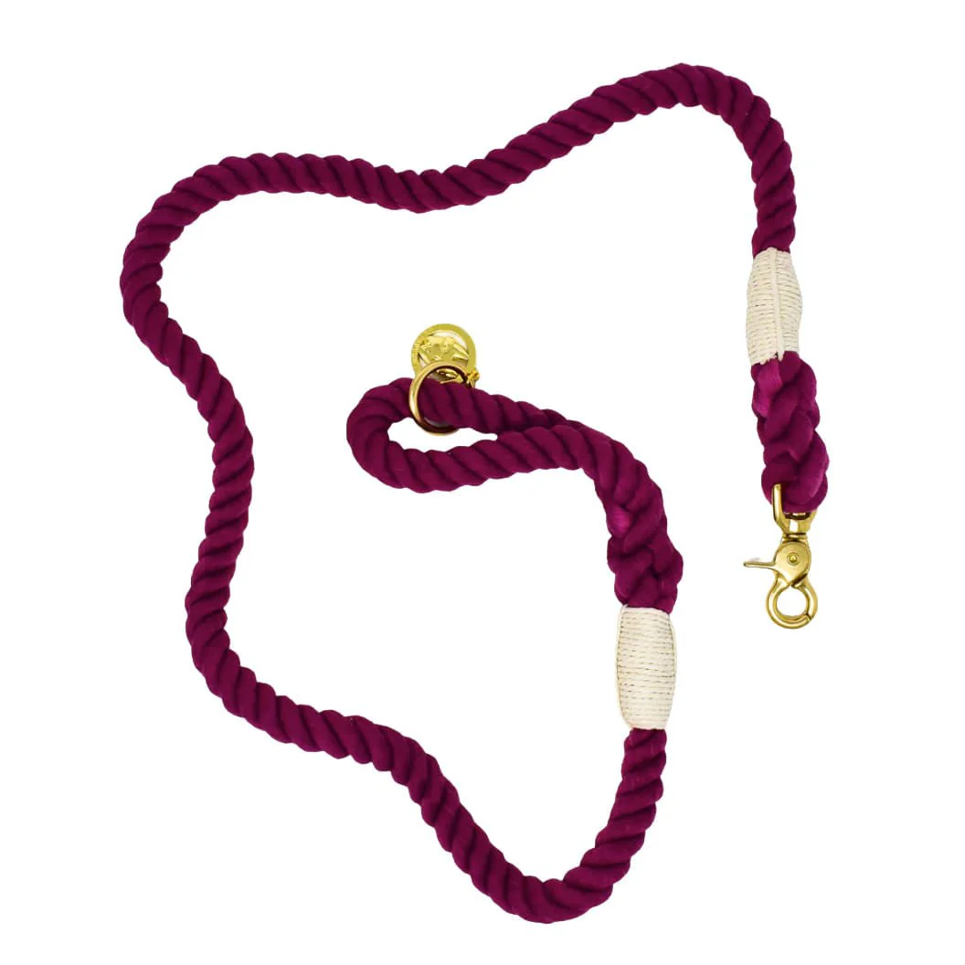 Pink Papyrus Rope Leash, 6ft - Healthber