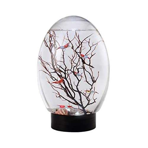 Mini Ecological Fish Tank, Closed Aquatic Ecosphere Desktop Aquarium with Led Base, Home Office Decor, No Need to Change Water (Color : Black) - Healthber