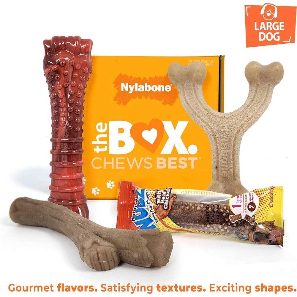 Nylabone The Box Chew Toy & Treat Gift Box Dogs - Healthber