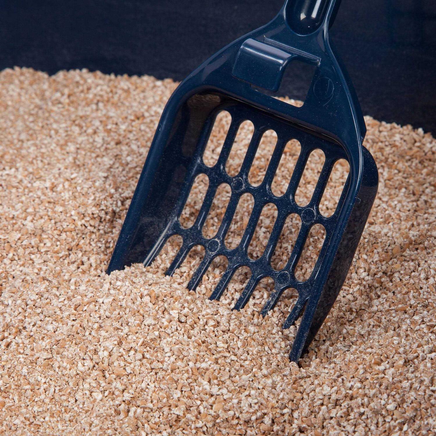 Iris USA Open Top Cat Litter Box with Shield and Scoop - Healthber