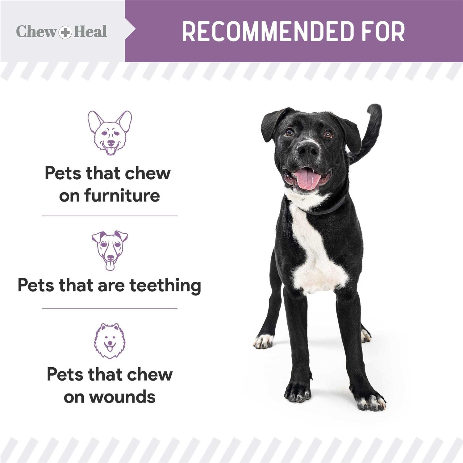 Chew + Heal No Chew Spray - Healthber
