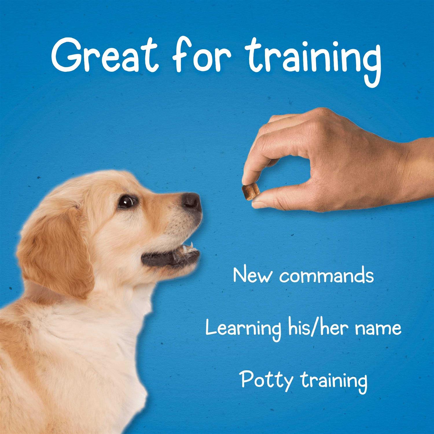 Purina Puppy Chow Dog Training Treats - Healthber
