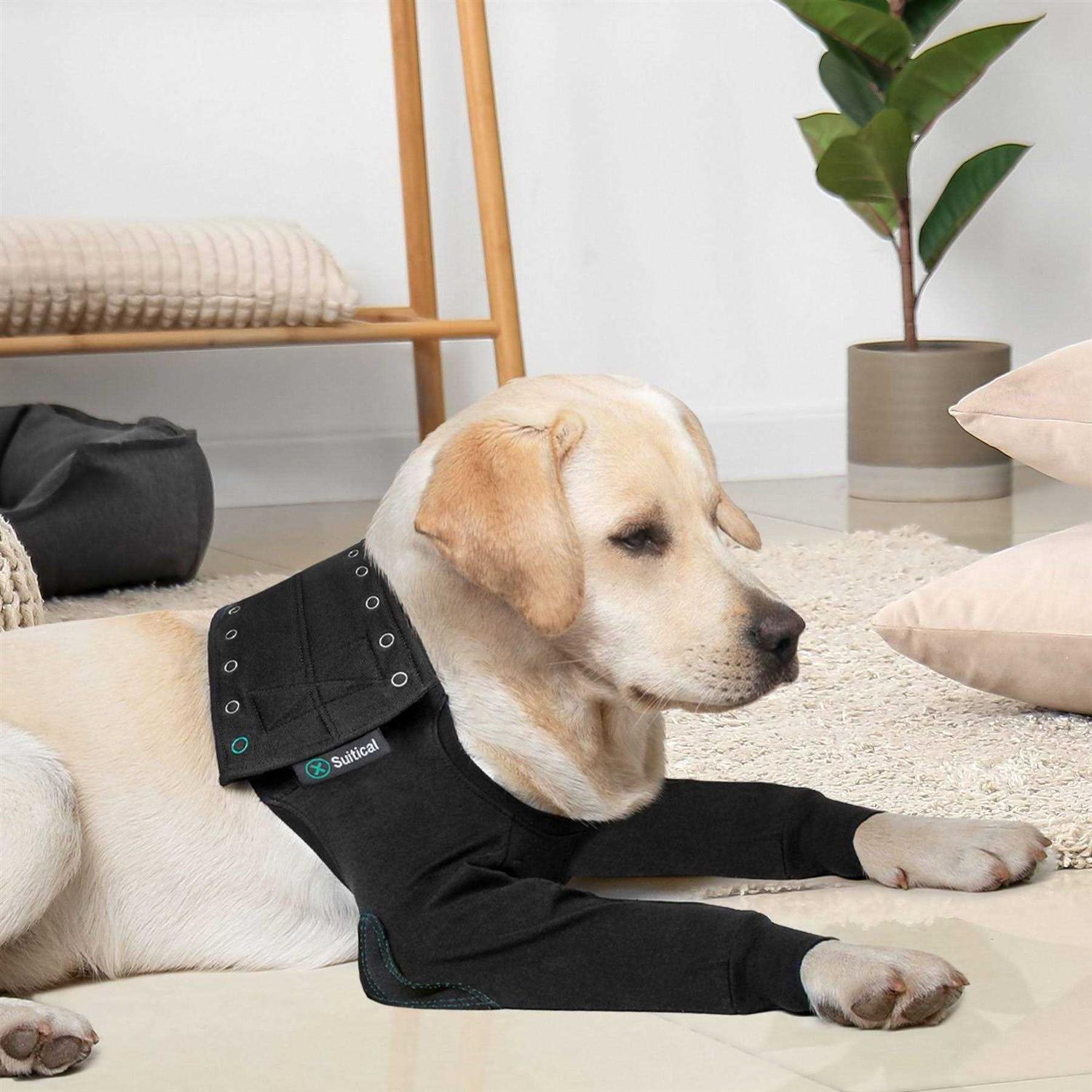Suitical Dog Recovery Double Sleeves - Healthber