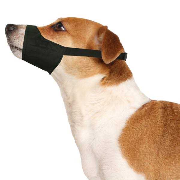 Four Paws Muzzle Quick Fit - Healthber