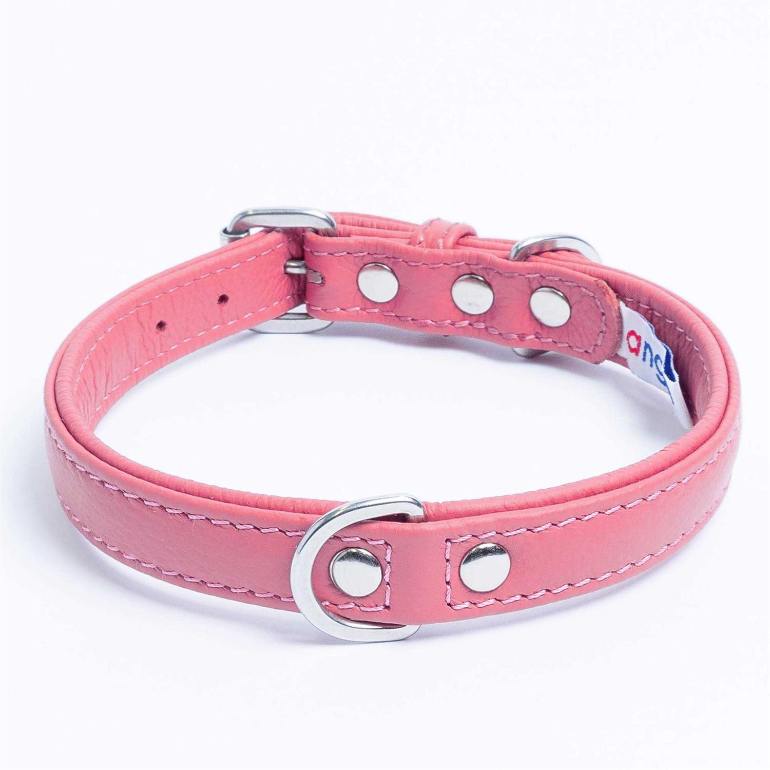 Alpine Dog Collar - Healthber