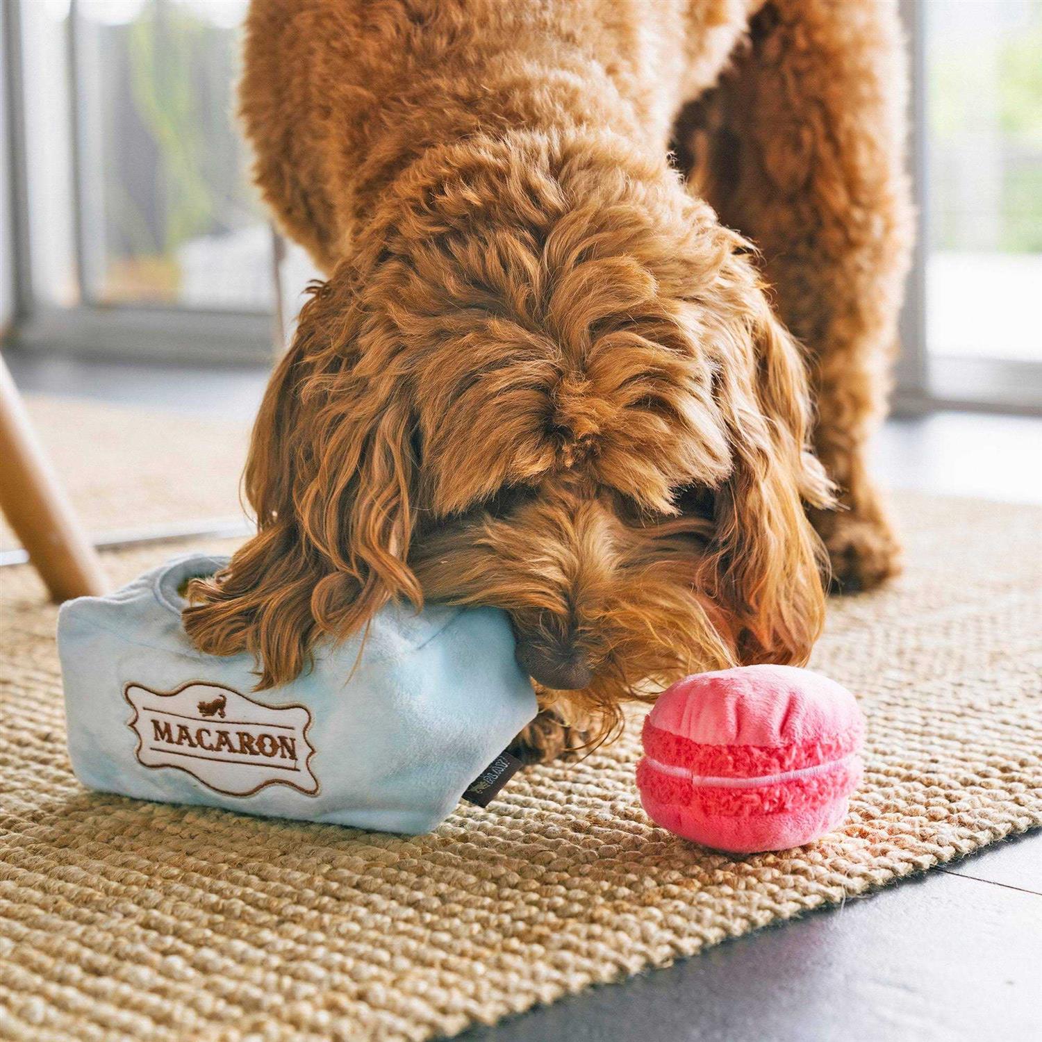 P.L.A.Y. Pup Cup Cafe Toy Mutt-a-rons - Healthber