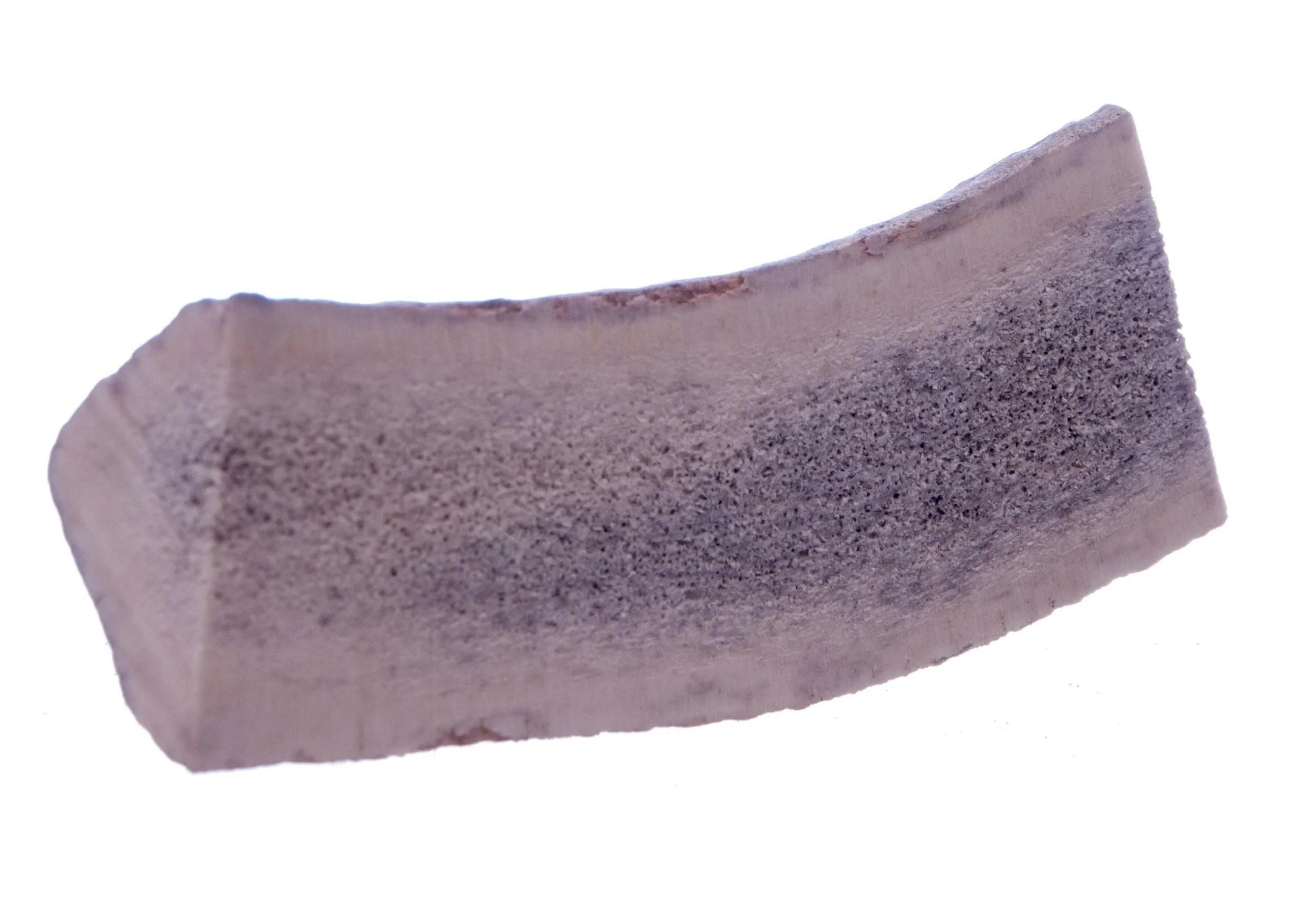 Split Antlerz (The Trew) - Healthber