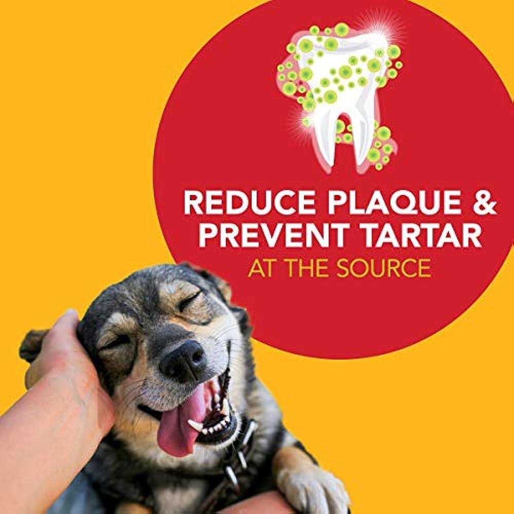 Petrodex Natural Toothpaste for Dogs - Healthber