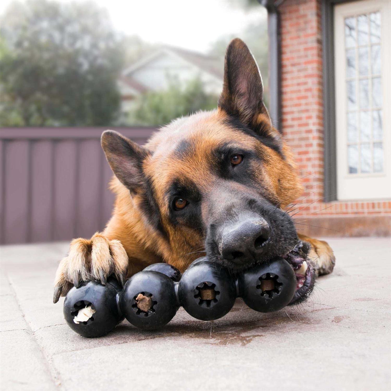 KONG Extreme Goodie Ribbon Dog Toy - Healthber