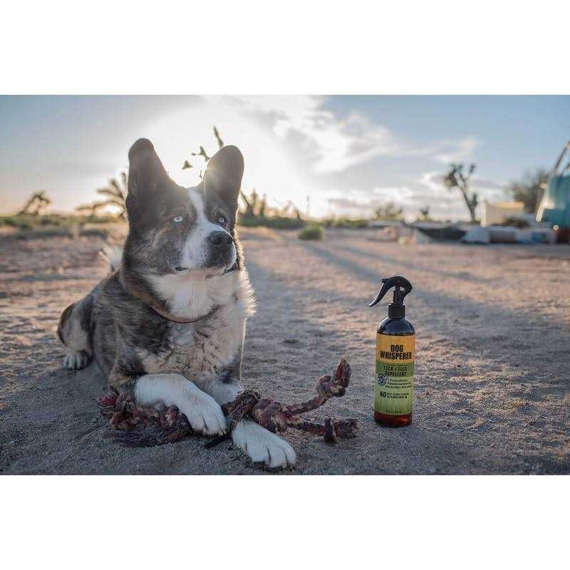 Dog Whisperer Tick Flea Repellent - Healthber