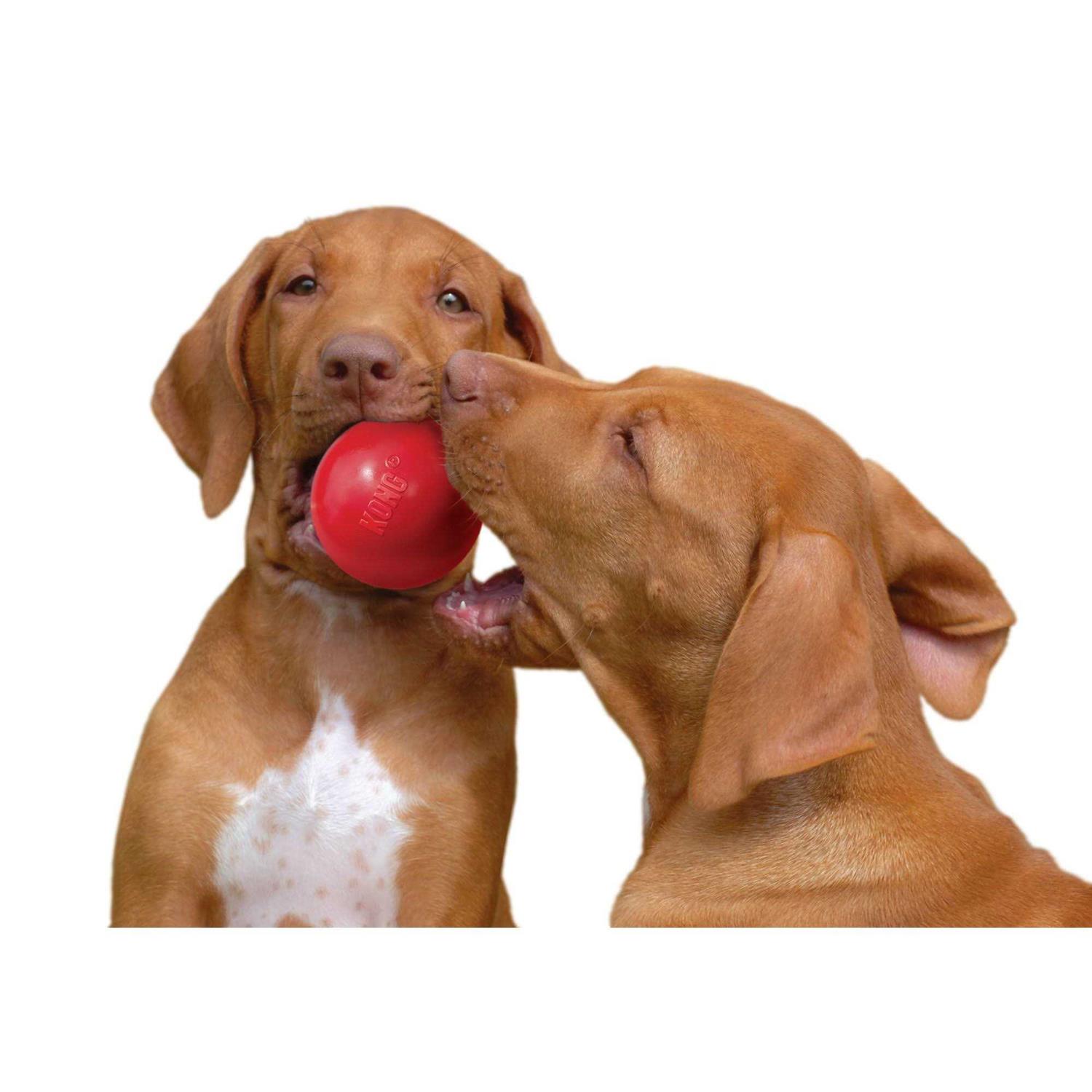 Dog Toy KONG Ball - Healthber