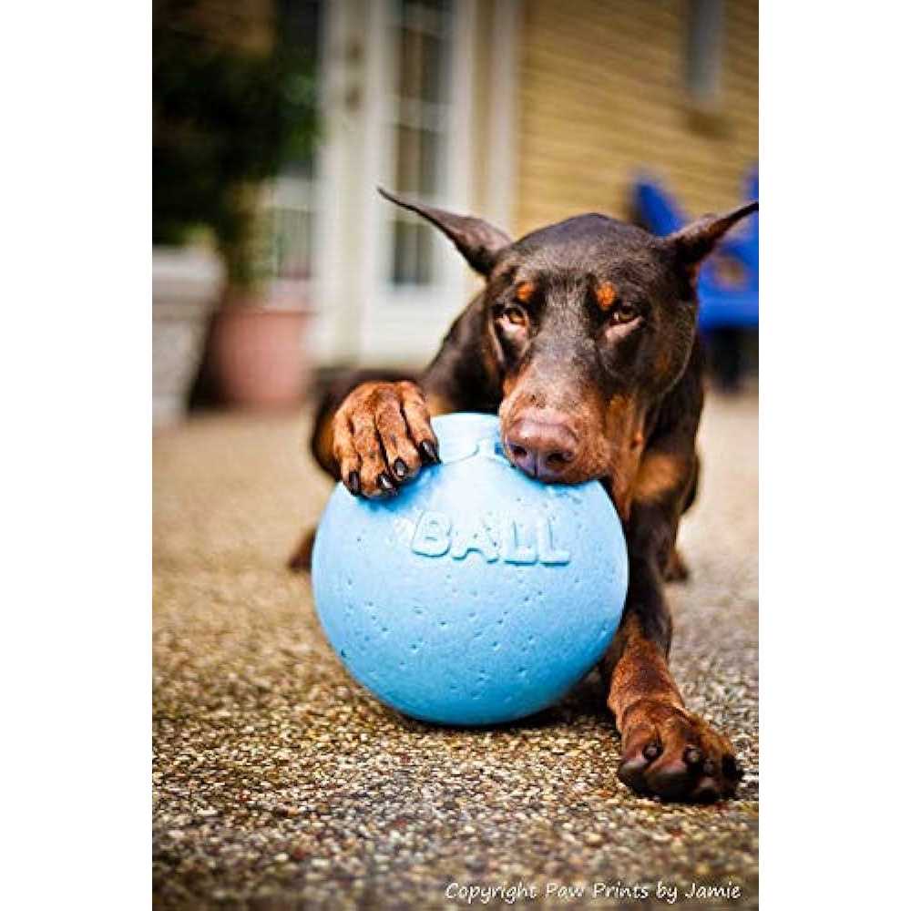 Jolly Pets Bounce N Play - Healthber