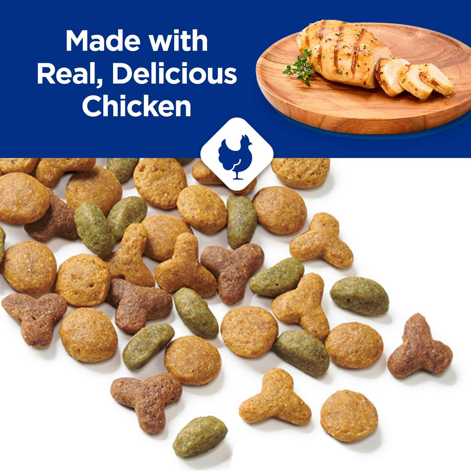 Purina Cat Chow Complete Dry Cat Food - Healthber