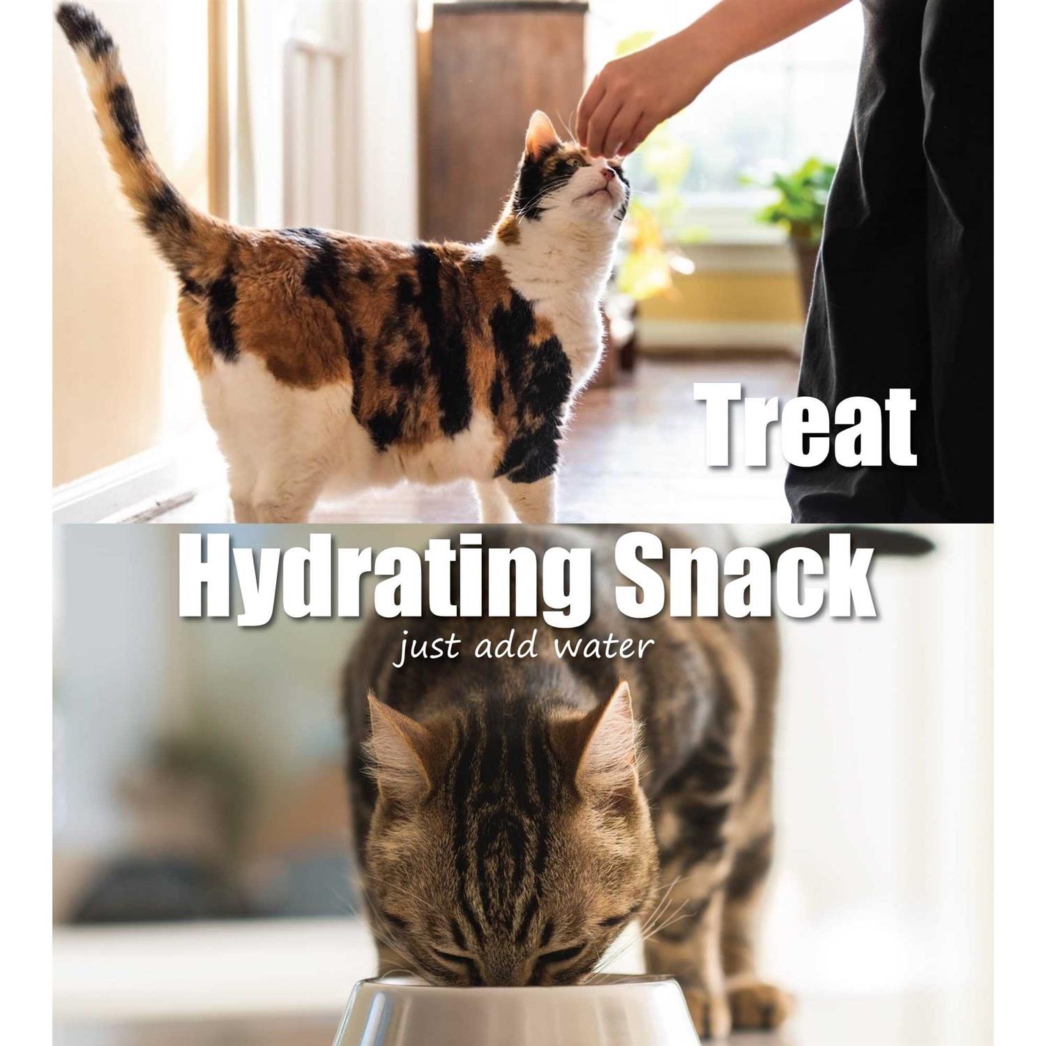 Whole Life Pet Just One Ingredient Freeze-Dried Chicken Cat Treats - Healthber
