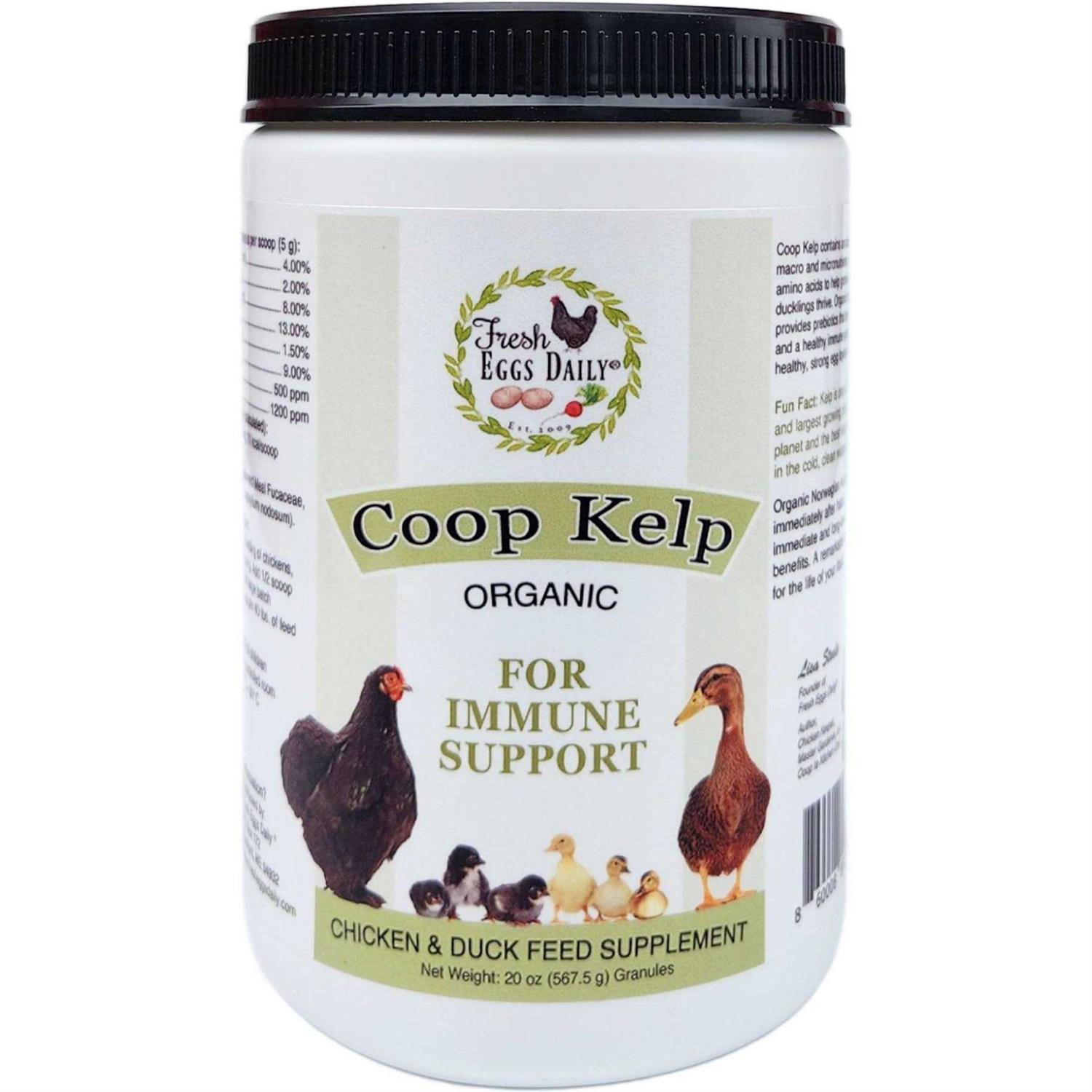 Fresh Eggs Daily Organic Coop Kelp Feed Supplement Vitamins for Backyard Chickens and Ducks - Healthber