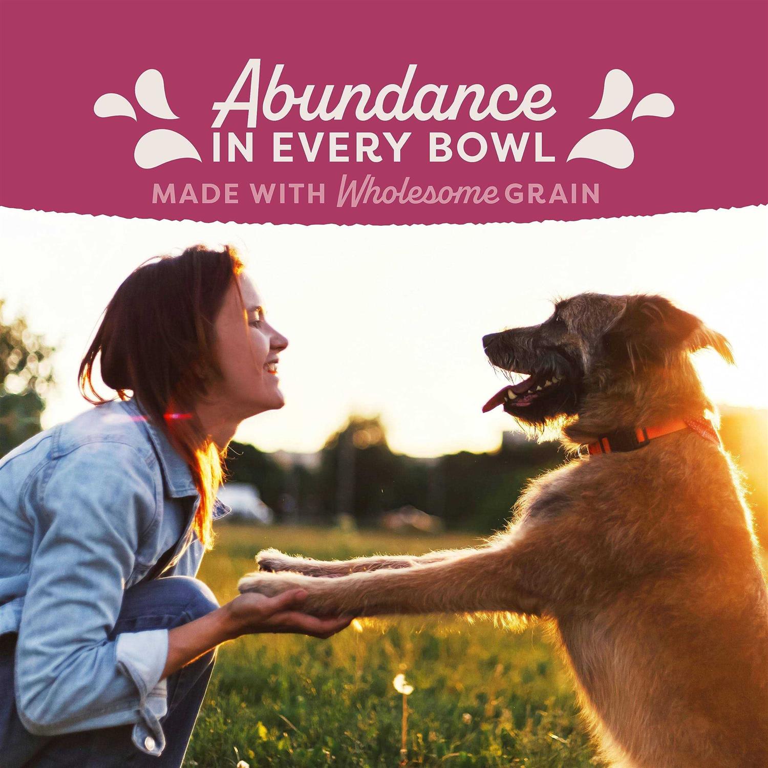 Natural Balance Fat Dogs Dog Food Chicken - Healthber