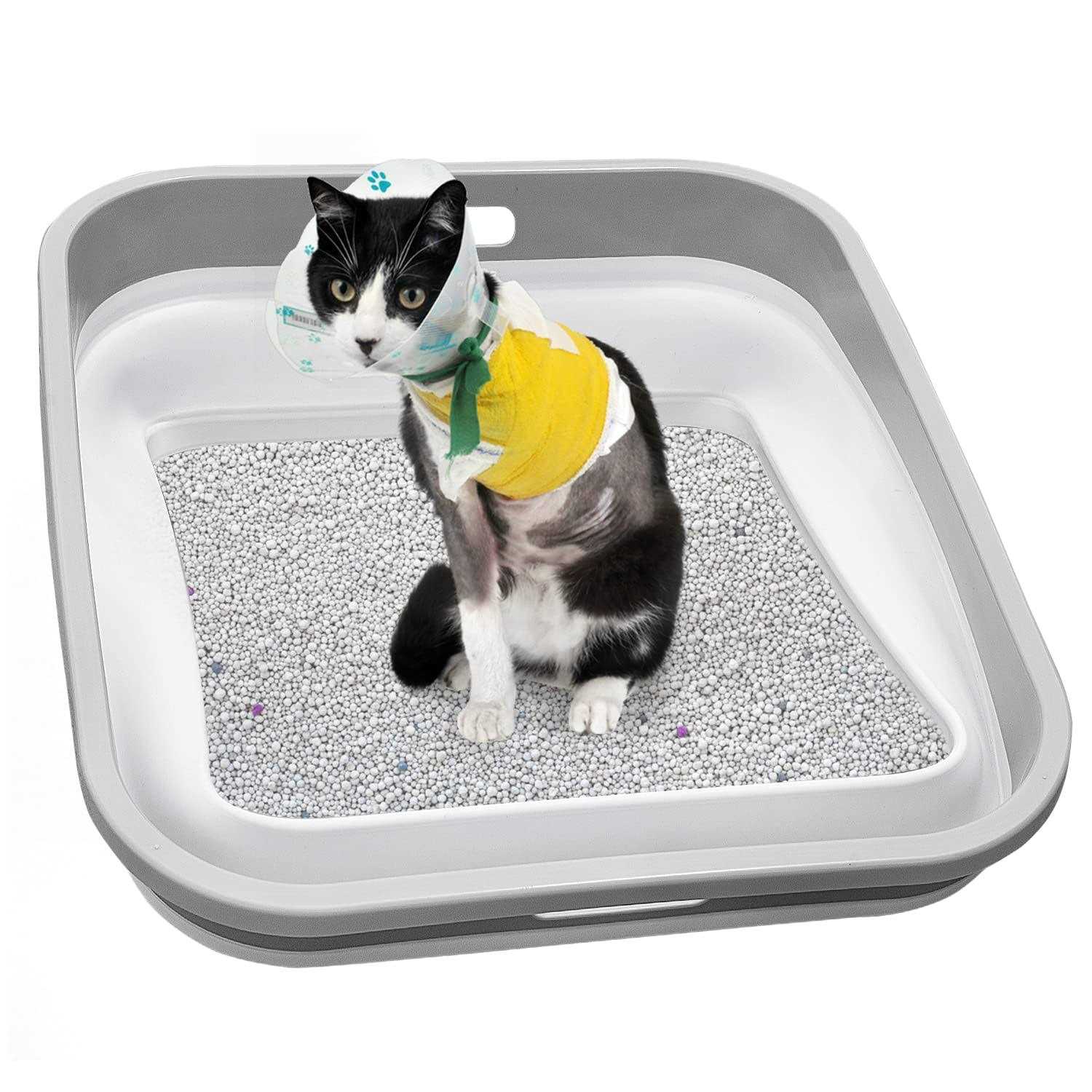 Maohegou Senior Cat Litter Box Three Legged Arthritic Open Low Entry for Sick Frail Handicap Disabled Cats - Healthber