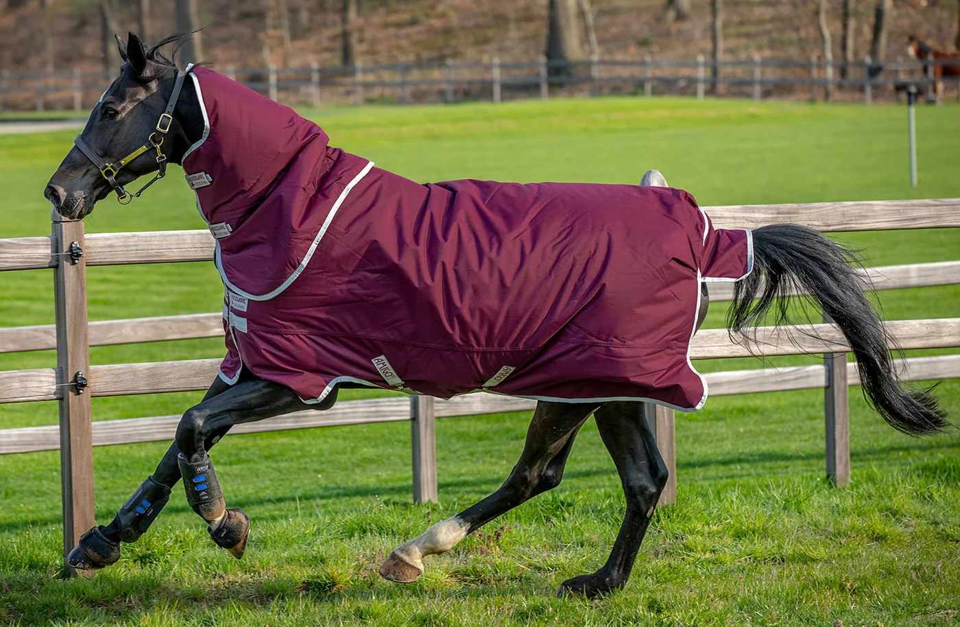 Amigo Hero Ripstop Plus Medium Weight Horse Turnout Blanket - Healthber