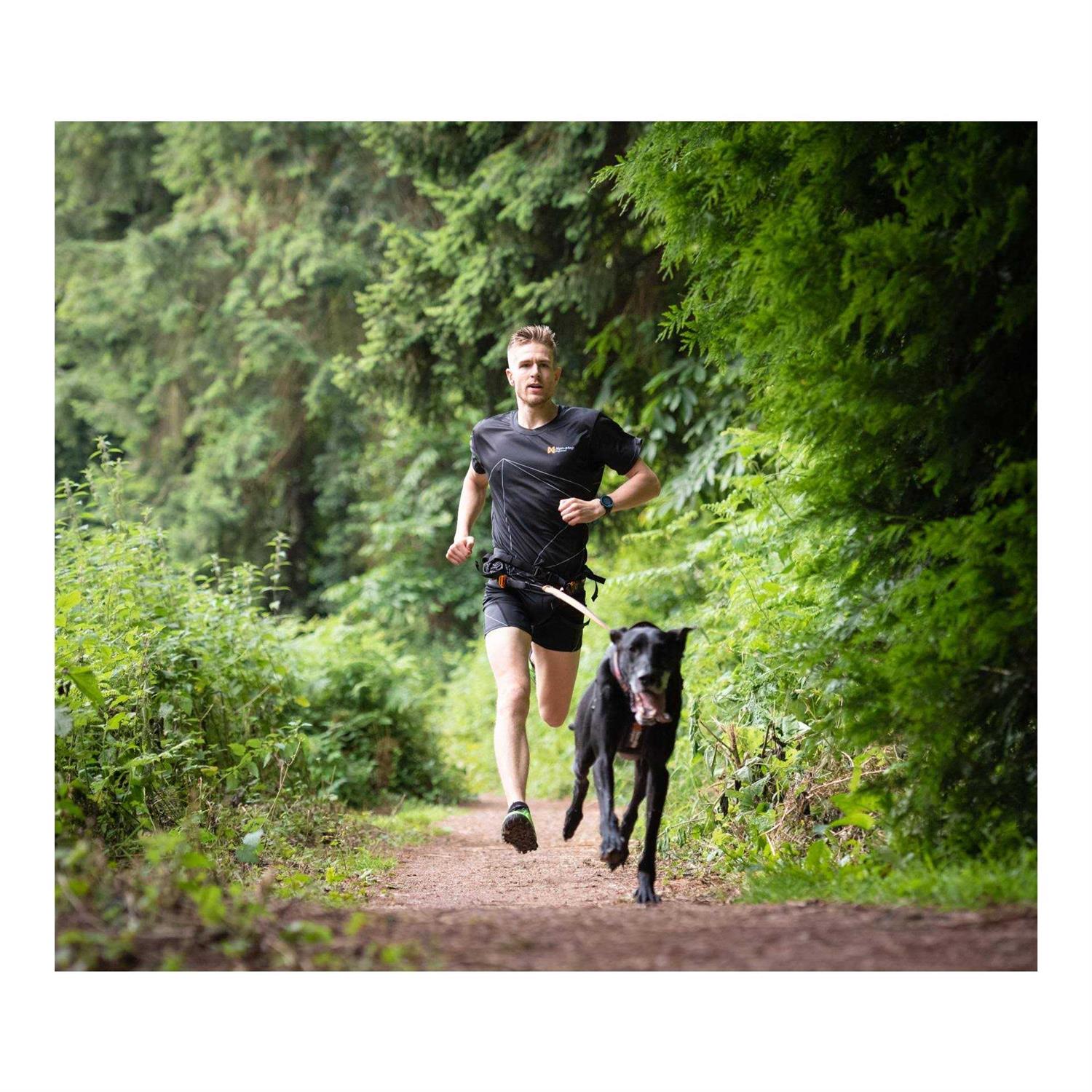Non-stop Dogwear CaniX Belt - Healthber