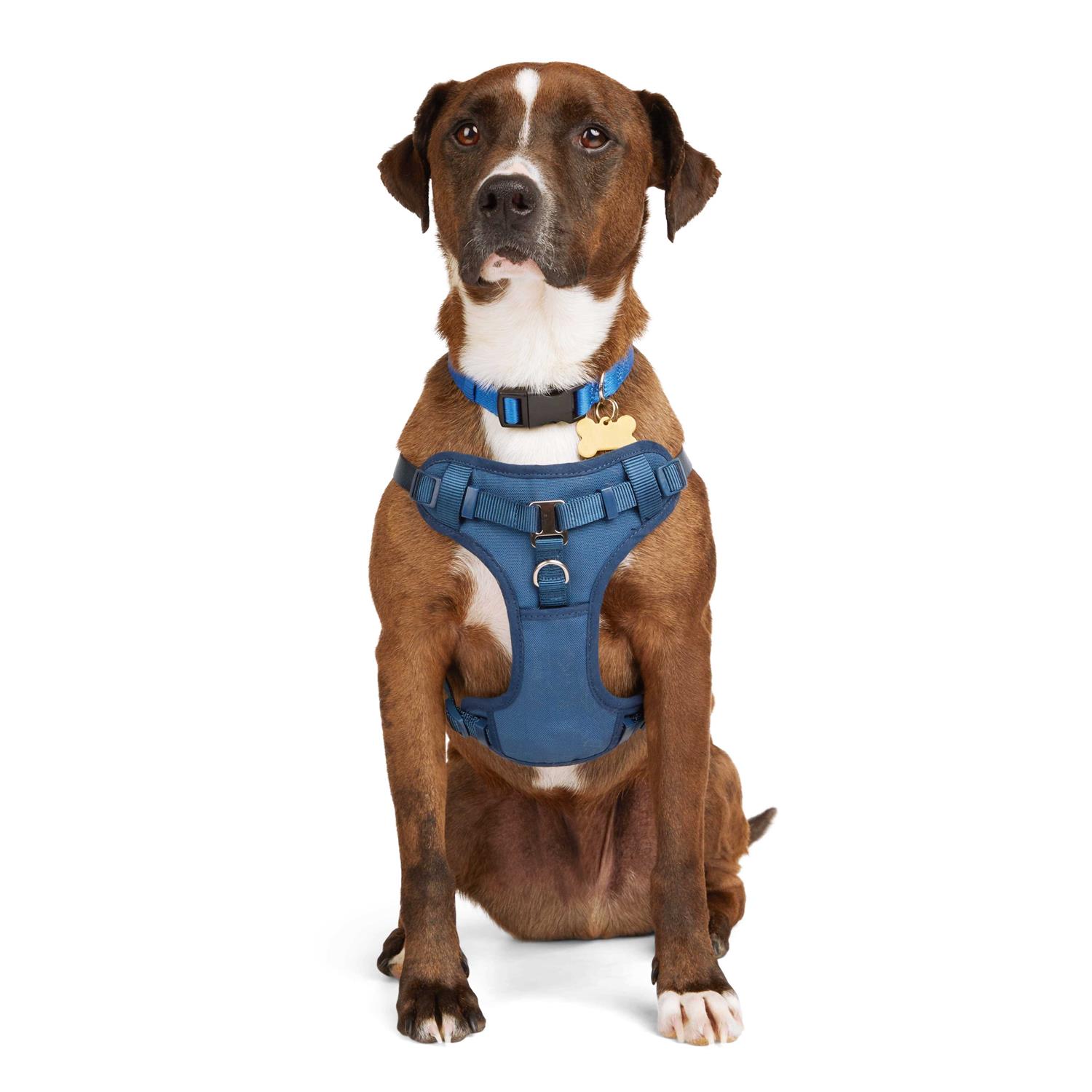 Youly the Champion Padded Step-in Dog Harness - Healthber