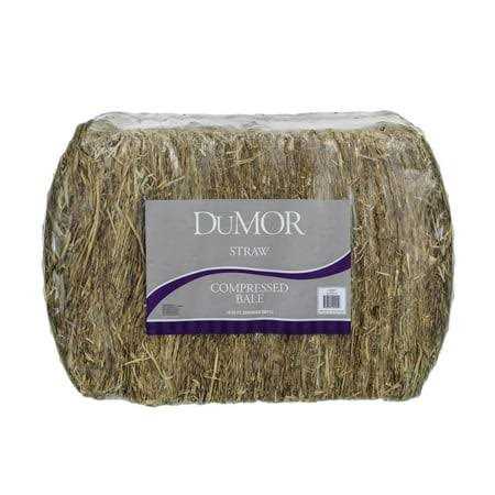 Dumor 2-String Wheat Straw Compressed Bale Pet Bedding - Healthber