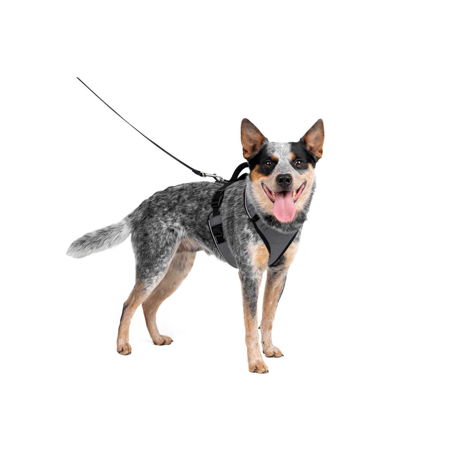 PetSafe EasySport Dog Harness - Healthber