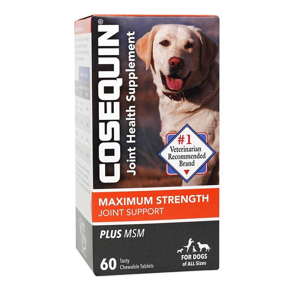 Cosequin Maximum Strength Joint Support Plus MSM - Healthber