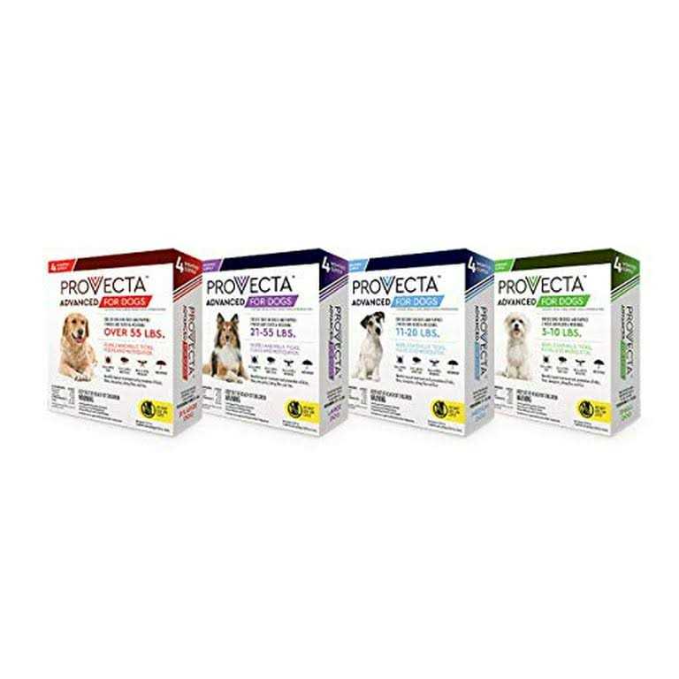 Provecta 4 Doses Advanced for Dogs - Healthber