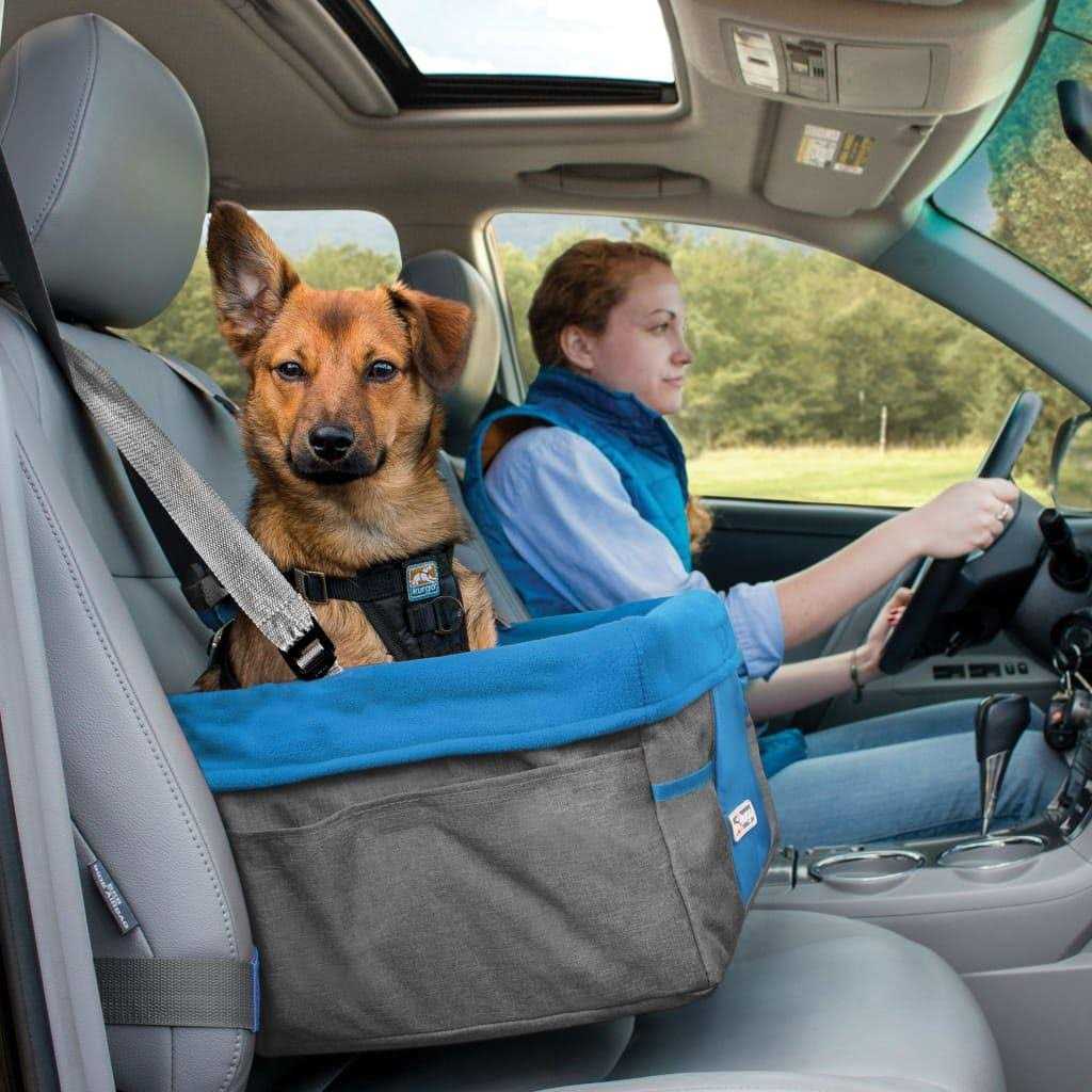 Kurgo Heather Dog Booster Seat - Healthber