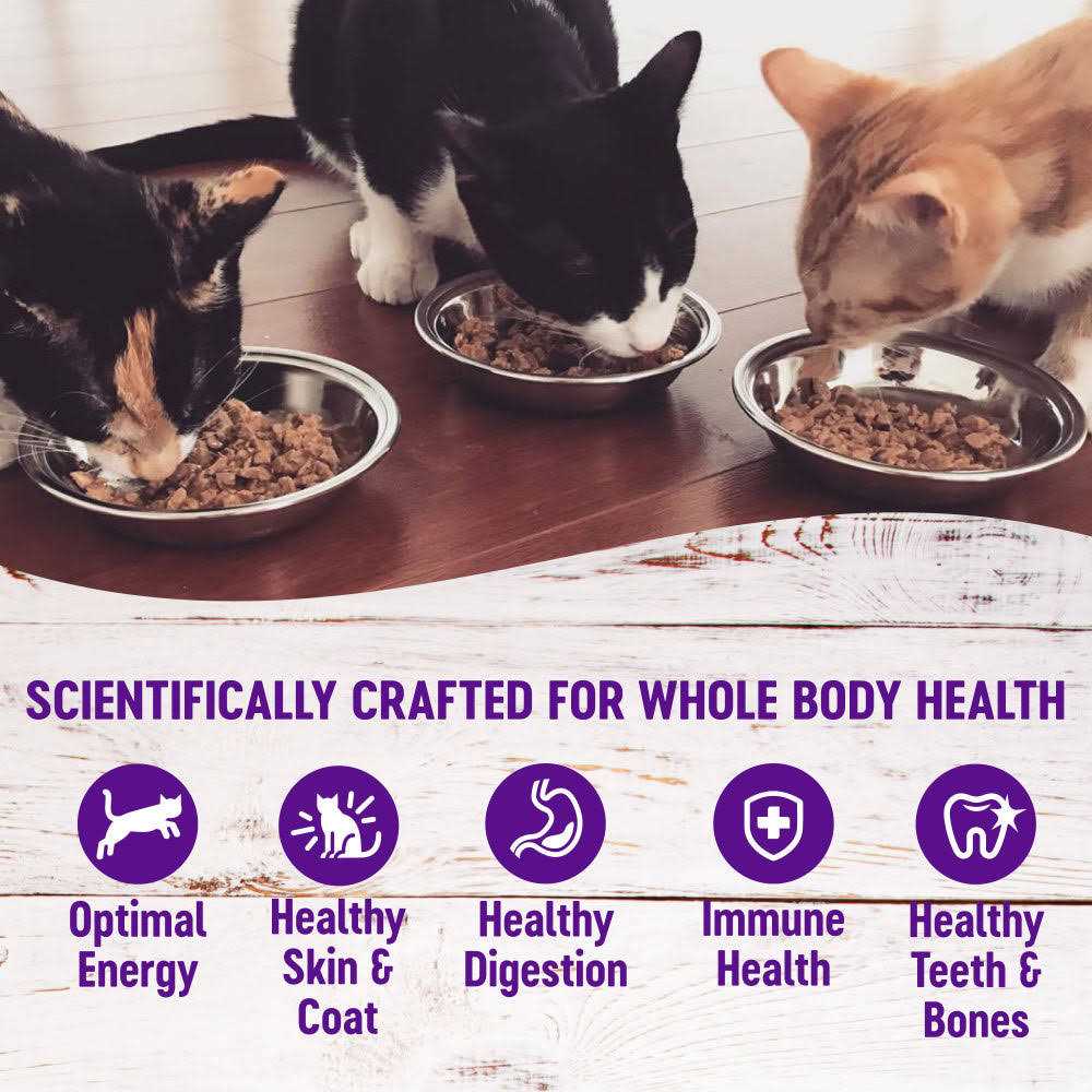 Wellness Healthy Indulgence Shreds Grain Free Wet Cat Food - Healthber