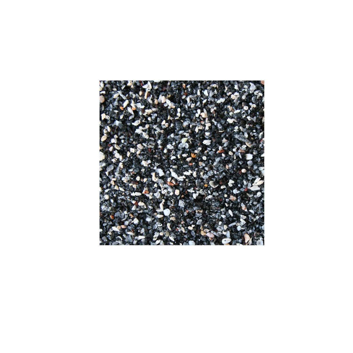 Pure Water Pebbles Bio-Activ Live African Cichlid Substrates - Healthber
