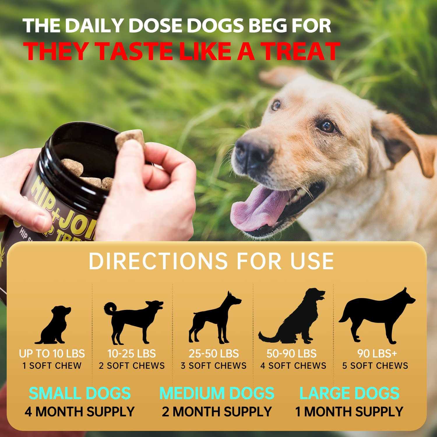 Hemp Hip and Joint Supplement for Dogs Glucosamine for Dogs - Healthber