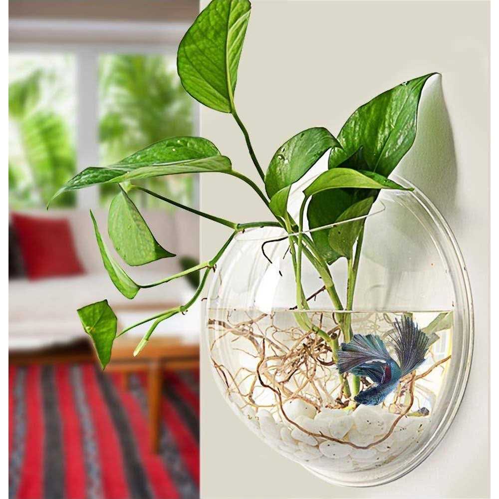 petpetssmart Wall-Hanging Fish Bowl Acrylic Wall-Mounted Plant Pot 1 Gallon Fish Tank 11.5-inches Decoration Planter - Healthber
