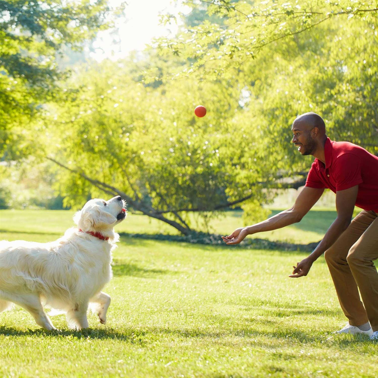 Milk-Bone Simply Original Dog Biscuits - Healthber
