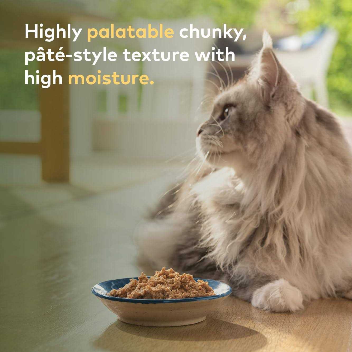 Ziwi Peak Canned Cat Food Lamb - Healthber