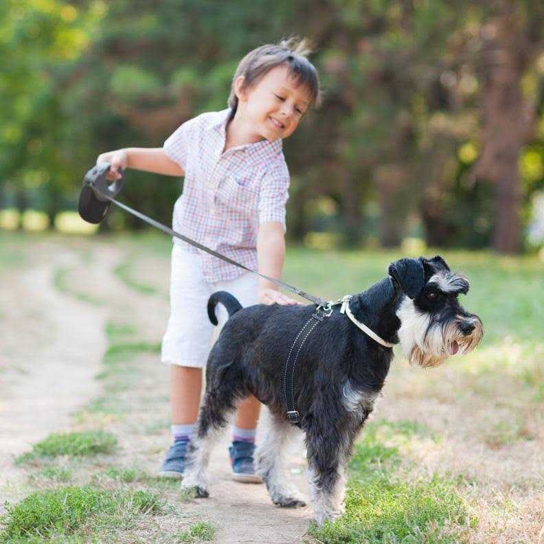 ThunderLeash Retractable Dog Leash - Healthber