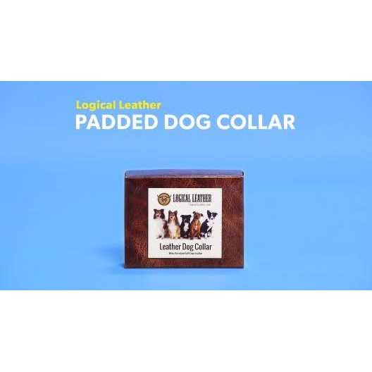 Logical Leather Padded Dog Collar Best Full Grain Genuine Leather Collar - Healthber