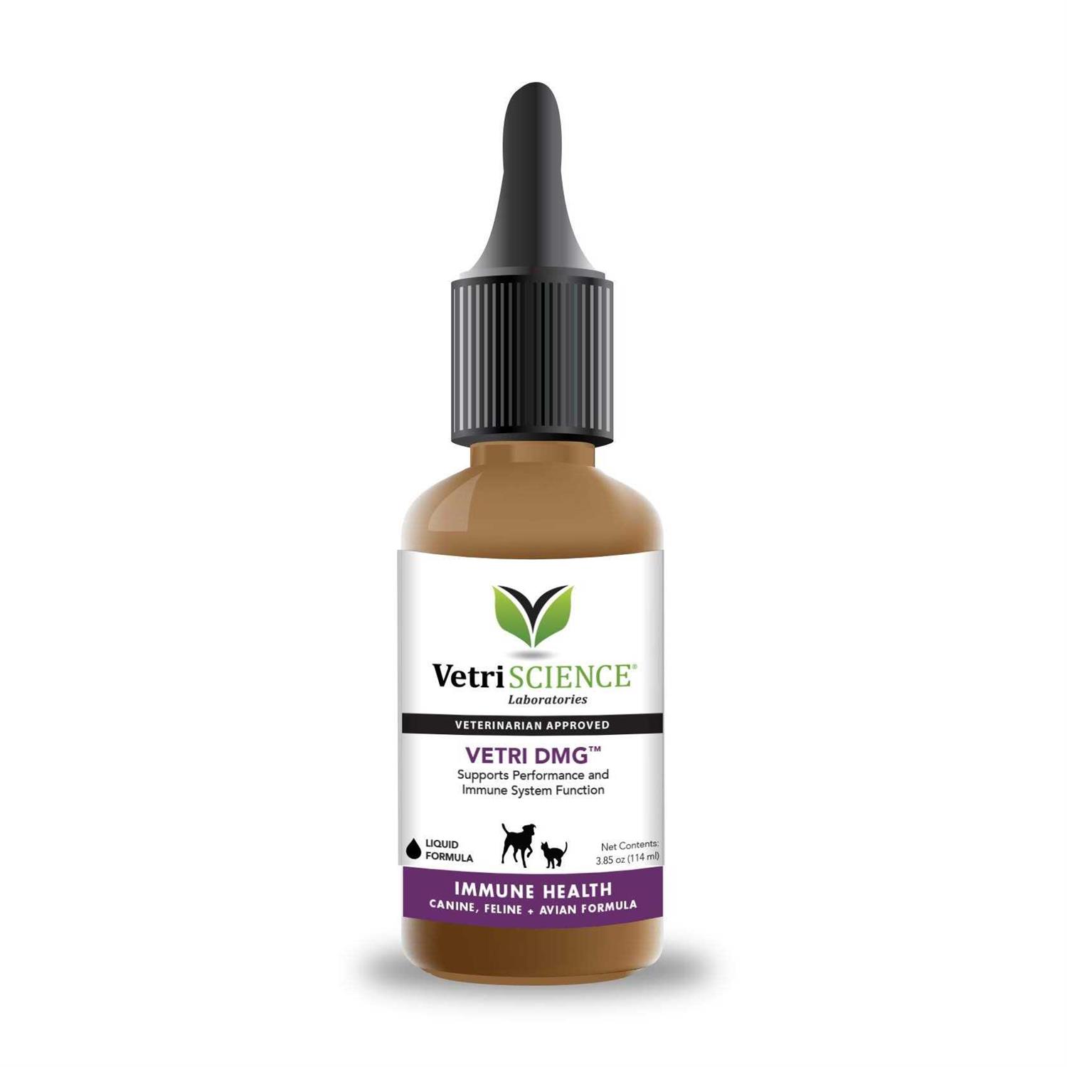 Vetri-DMG Liquid - Healthber