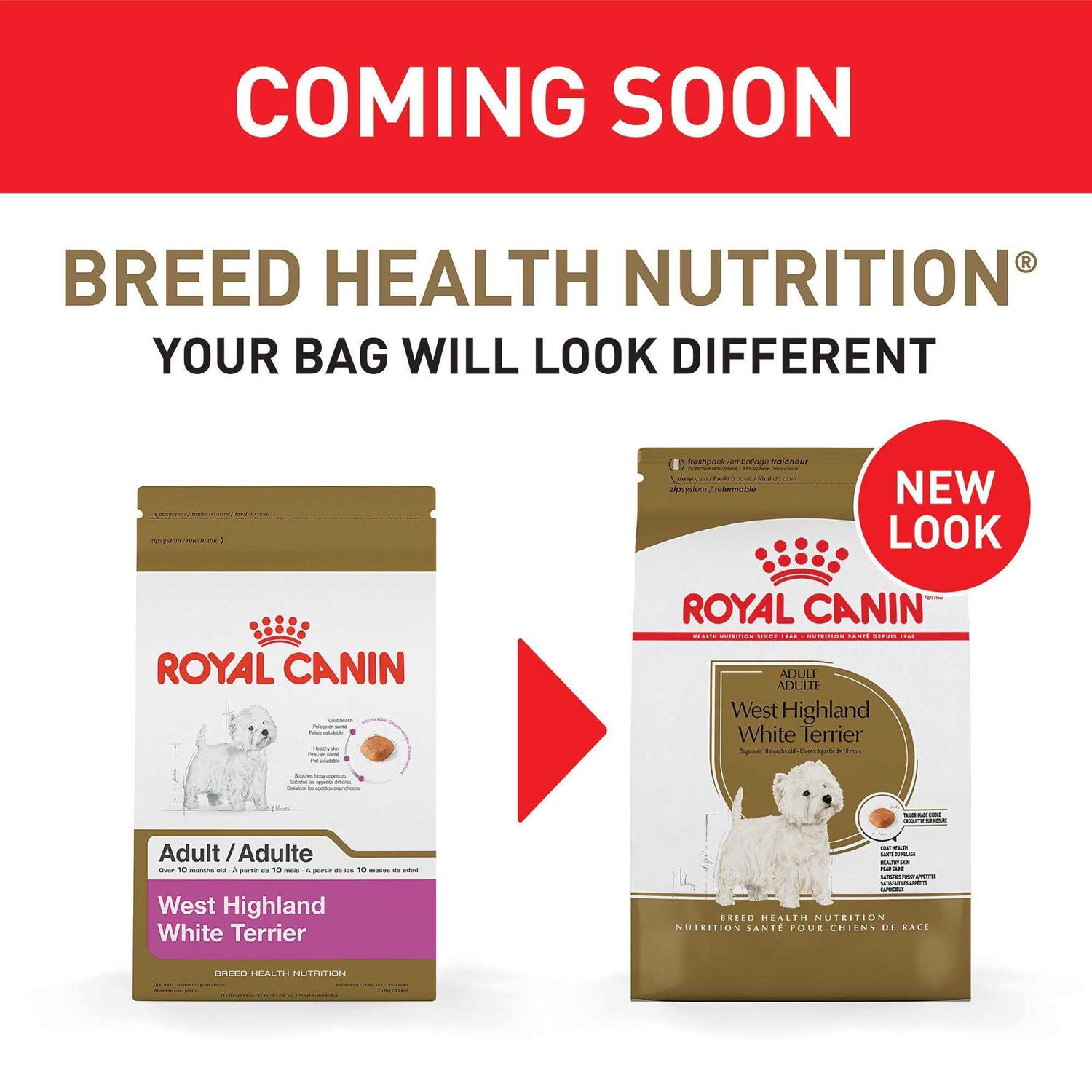 Royal Canin West Highland White Terrier Adult Dry Dog Food - Healthber