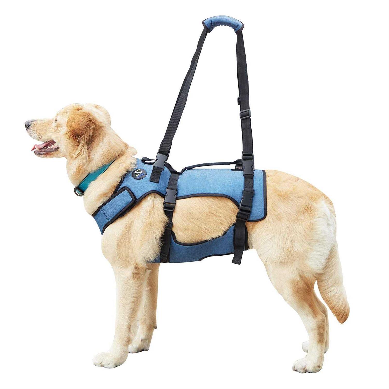 Coodeo Dog Lift Harness Support & Recovery Sling Pet Rehabilitation Lifts Vest Adjustable Breathable Straps for Old - Healthber