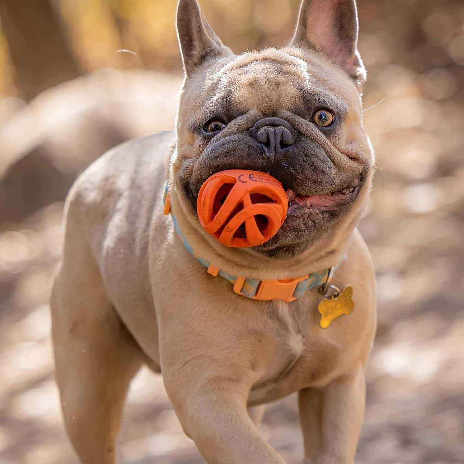 Chuckit! Breathe Right Fetch Ball - Healthber