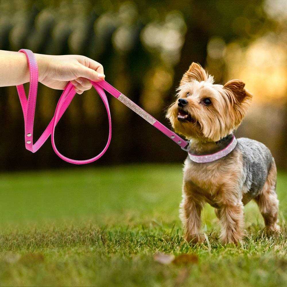 Haoyueer Rhinestone Dog Collar Cute Dazzling Sparkling Soft Suede Leather Dog Cat Rhinestone Collar Crystal Diamond Pet Dog Puppy - Healthber