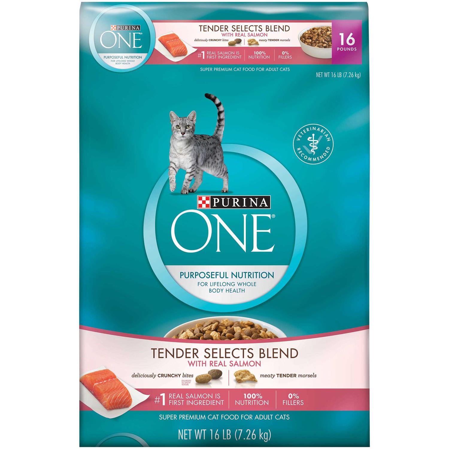 Purina ONE Smartblend Dry Cat Food - Healthber