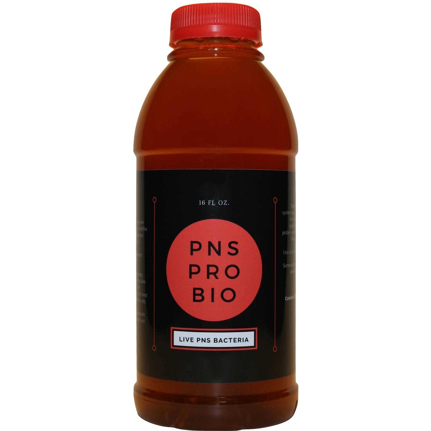 PNS ProBio Live Bacteria - Healthber