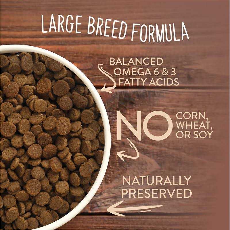 Sportmix Wholesomes Chicken Meal & Rice Formula Large Breed Dry Dog Food - Healthber