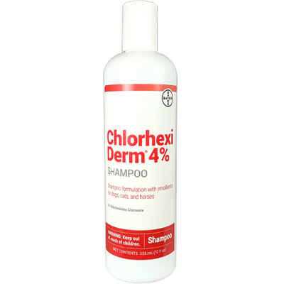 Chlorhexiderm 4% Shampoo 12 Oz For Dogs - Healthber