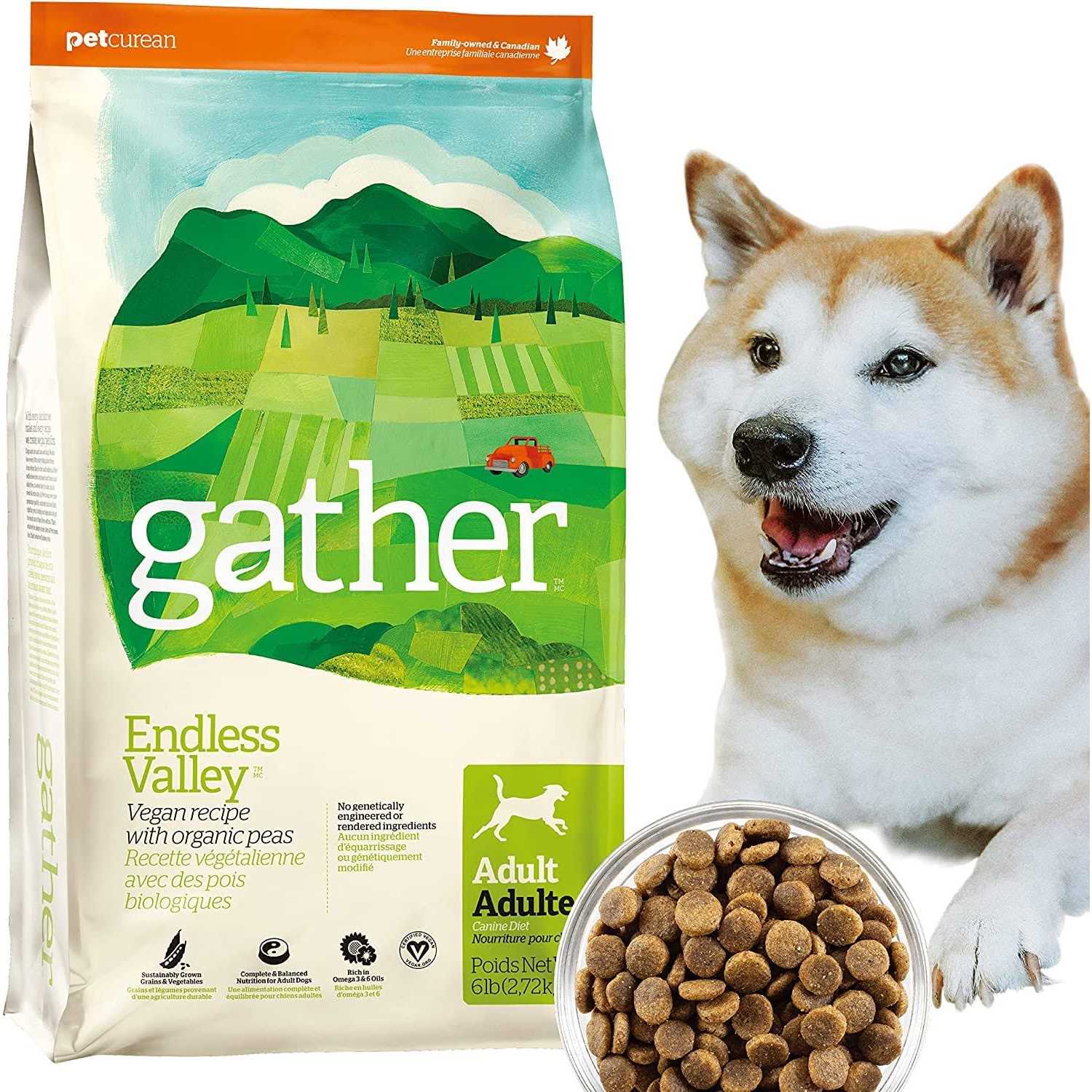 Gather Endless Valley Vegan Recipe with Organic Peas Adult Dry Dog Food - Healthber