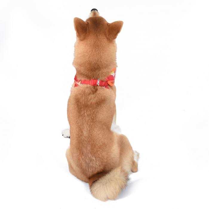 Nickelodeon All Stars Dog Harness for Large Dogs No Pull Dog Harness Vest with Nickelodeon Characters from Rugrats, Hey Arnold, and More - Healthber