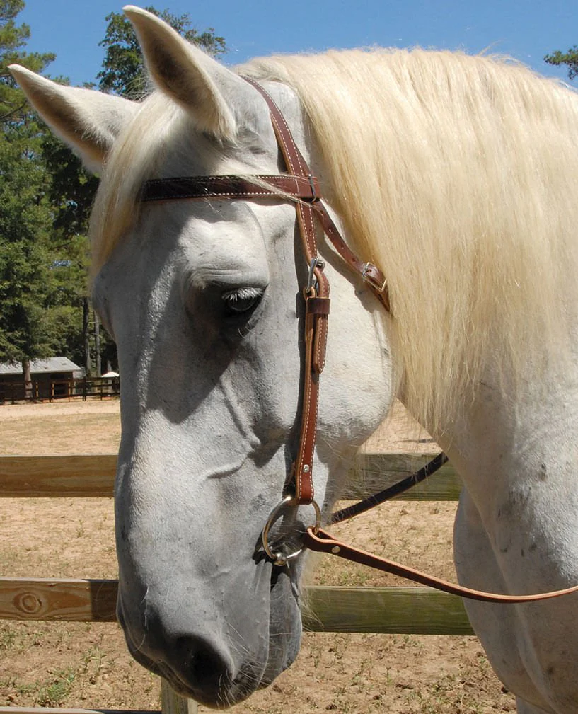 Weaver Leather Draft Horse 3 Piece - Bridle, Reins, & Snaffle Bit Set - Healthber